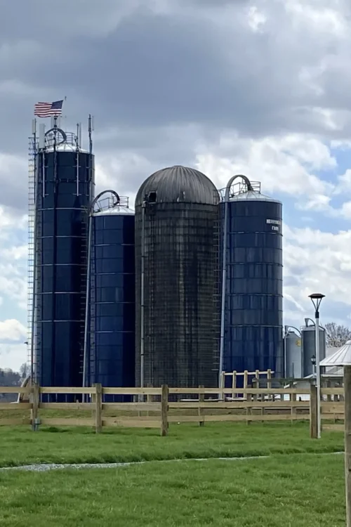silos-on-the-farm-in-countryside-2025-01-08-14-12-17-utc